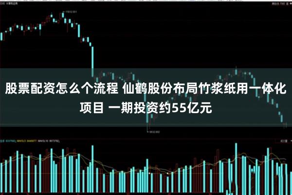 股票配资怎么个流程 仙鹤股份布局竹浆纸用一体化项目 一期投资约55亿元