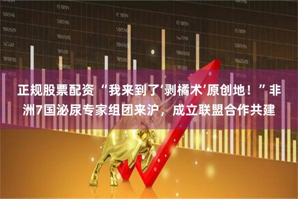 正规股票配资 “我来到了‘剥橘术’原创地！”非洲7国泌尿专家组团来沪，成立联盟合作共建