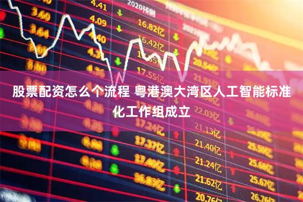 股票配资怎么个流程 粤港澳大湾区人工智能标准化工作组成立