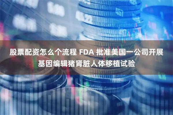 股票配资怎么个流程 FDA 批准美国一公司开展基因编辑猪肾脏人体移植试验